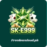 SK-E999 Game
